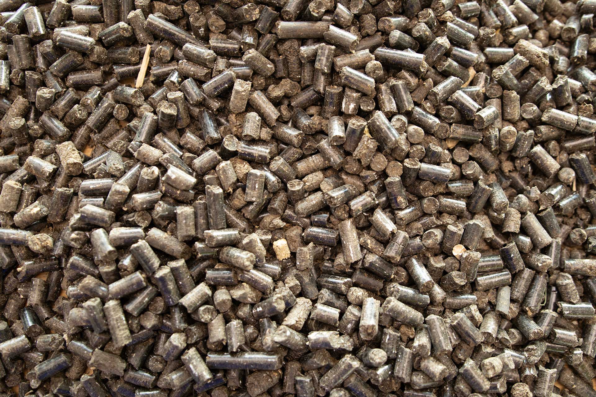 Gärsubstratpellets lose
