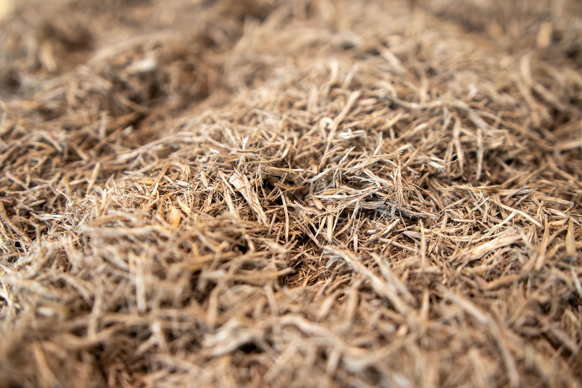 Holzfasern-Torfersatz