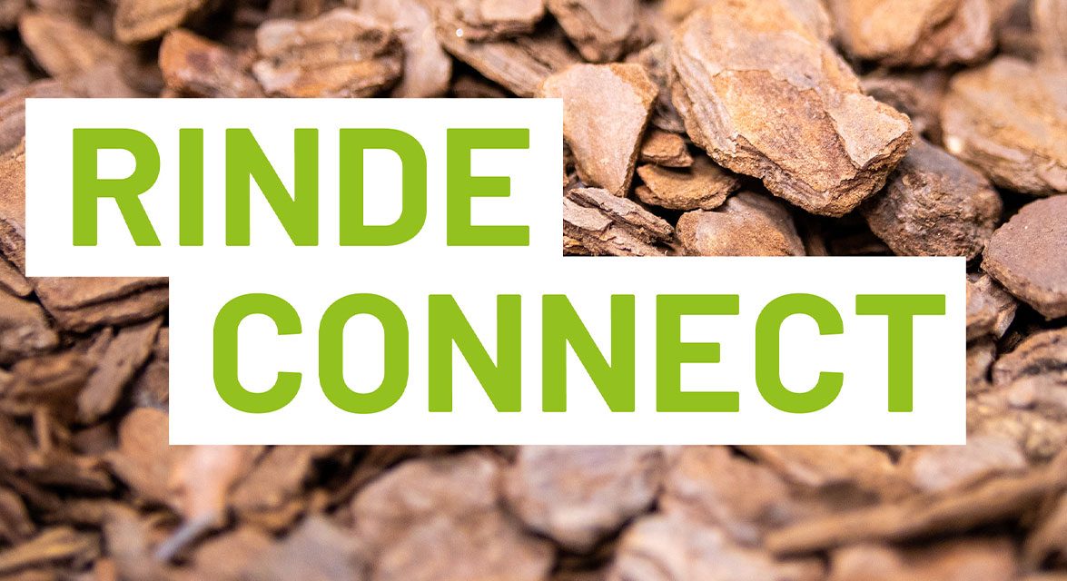 Rinde Connect Banner
